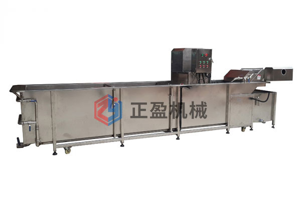 葉菜清（qīng）洗機