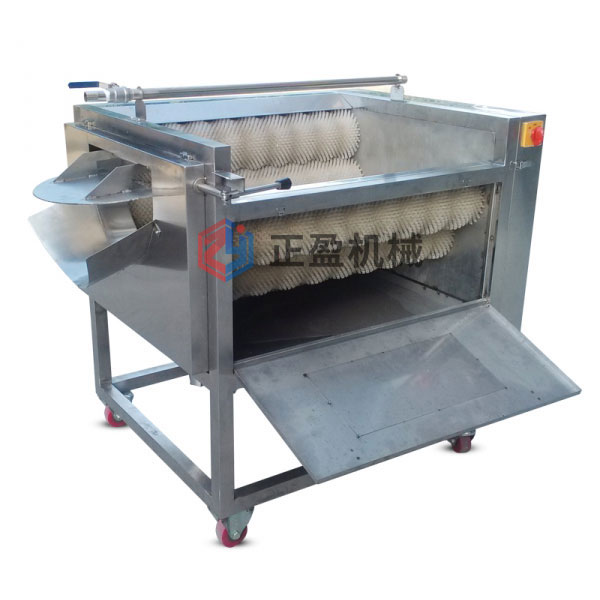 蓮藕毛（máo）刷清洗去皮機